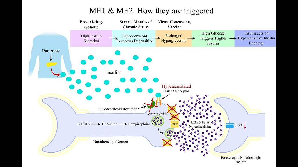 Generalized Unwell Thoughts on this new Hypothesis which categorizes 3 ME subtypes ...