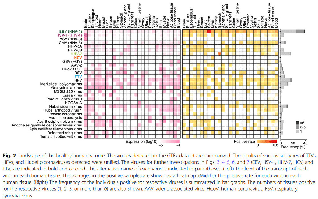 Generalized Unwell Treatment idea: Antimicrobials naturally found in food could be how ...